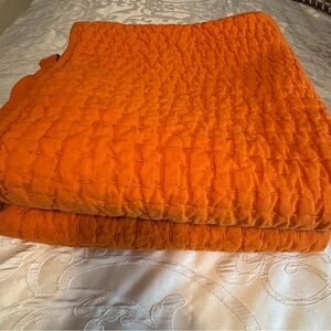 Pottery Barn Pair Of Pickstitched Euro Shams